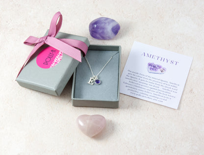 Initial & Amethyst February Birthstone Necklace